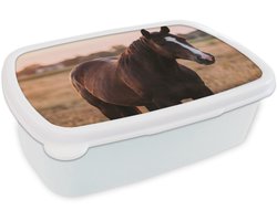 Broodtrommel Wit - Lunchbox Paard - Zonsondergang - Bruin - Brooddoos 18x12x6 cm - Brood lunch box - Broodtrommels voor kinderen en volwassenen