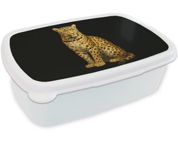 Broodtrommel Wit - Lunchbox Panter - Realistisch - Bruin - Brooddoos 18x12x6 cm - Brood lunch box - Broodtrommels voor kinderen en volwassenen