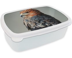 Broodtrommel Wit - Lunchbox Vogel - Realistisch - Veren - Bruin - Brooddoos 18x12x6 cm - Brood lunch box - Broodtrommels voor kinderen en volwassenen