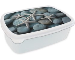 Broodtrommel Wit - Lunchbox Zeesterren - Stenen - Wit - Brooddoos 18x12x6 cm - Brood lunch box - Broodtrommels voor kinderen en volwassenen
