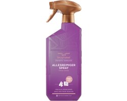 Bruynzeel Cosmetic Homecare Allesreinigerspray Fresh Wood 500 ml