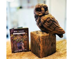 Brynxz - Uil op een sokkel - Majestic Brown – Stoer & Sfeervol Woonaccessoire - Diameter 14 - Hoogte 20