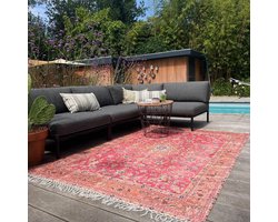 Buiten-binnen kleed, Buitentapijt | vintage patroon | roze, rood | 300cm x 200cm