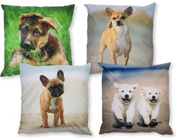 Buitenkussen 40 x 40cm met hondenprint - inclusief vulling - 1 stuk