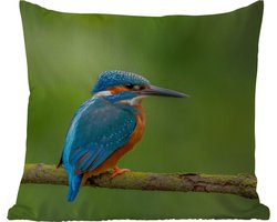 Buitenkussen - IJsvogel - Tak - Mos - Vogel - Groen - 45x45 cm - Weerbestendig