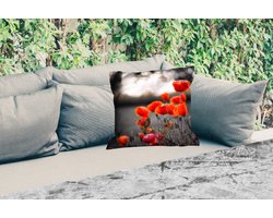 Buitenkussen - Wilde rode klaprozen in een groot veld met een zwart witte achtergrond - 45x45 cm - Weerbestendig