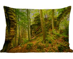 Buitenkussens - Tuin - Bomen - Steen - Bos - Natuur - Planten - 50x30 cm