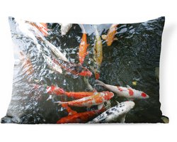 Buitenkussens - Tuin - Een grote groep koi karpers - 50x30 cm