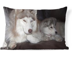 Buitenkussens - Tuin - Grote hond met een kleine pup op de bank - 50x30 cm