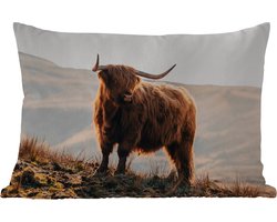 Buitenkussens - Tuin - Schotse hooglander - Dieren - Landelijk - Landschap - Koe - Natuur - 50x30 cm