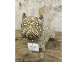 Bulldog sculptuur beeld glinster goud polystone / Deco & Cadeau by Peters