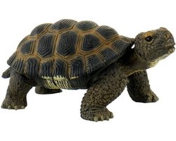 Bullyland 63553 – Speelfiguur en verzamelfiguur Schildpad – ca. 5 cm – levensecht en detailrijk vormgegeven – ideaal als educatief speelfiguur, taartdecoratie of klein cadeautje voor kinderen vanaf 3 jaar.