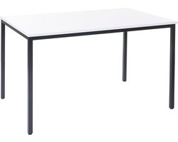 Bureau Braila, vergadertafel bureautafel seminarietafel, 120x80cm MDF ~ wit