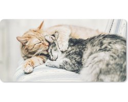 Bureauonderlegger - Katten - Bank - Woonkamer - 60x30 - Muismat