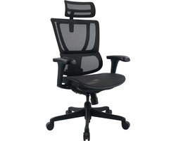 Bureaustoel / directiestoel ERGOHUMAN SLIM ECO M GEN2 mesh zwart hjh OFFICE