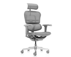 Bureaustoel / directiestoel ERGOHUMAN ULTRA G GEN2 mesh grijs hjh OFFICE