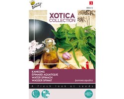 Buzzy® Xotica Kankong