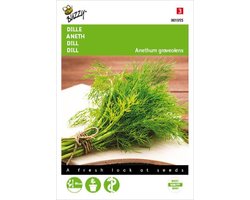 Buzzy Zaden Dille - Anethum graveolens