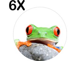 BWK Luxe Ronde Placemat - Exotische Kikker Kijkt Nieuwsgierig over een Steen - Set van 6 Placemats - 50x50 cm - 2 mm dik Vinyl - Anti Slip - Afneembaar