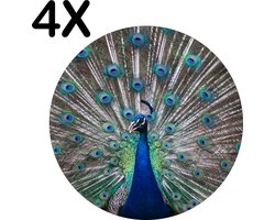 BWK Luxe Ronde Placemat - Pauw met Gespreidde Veren - Set van 4 Placemats - 40x40 cm - 2 mm dik Vinyl - Anti Slip - Afneembaar