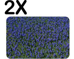 BWK Stevige Placemat - Blauw Paarse Bloemen - Set van 2 Placemats - 45x30 cm - 1 mm dik Polystyreen - Afneembaar