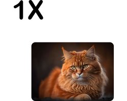 BWK Stevige Placemat - Trotse Oranje Kater - Poes - Set van 1 Placemats - 35x25 cm - 1 mm dik Polystyreen - Afneembaar