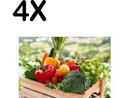 BWK Textiele Placemat - Groente in een Houten Kistje - Set van 4 Placemats - 45x30 cm - Polyester Stof - Afneembaar