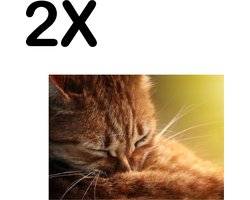 BWK Textiele Placemat - Slapende Oranje Poes - Kat - Set van 2 Placemats - 40x30 cm - Polyester Stof - Afneembaar