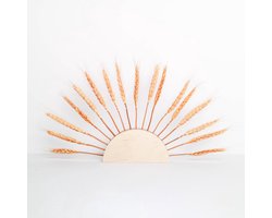 By woom/ sunholder/droogbloemen houder