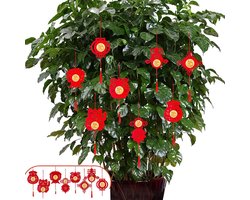 ByShane - Lentefestival Decoratie - 24 Stuks Kunststof Lantaarns Voor Chinees Nieuwjaar - Opknoping Lente Festival Decoraties voor Thuis - Auto Deur Raam Muur Decor - Hangerdecoraties