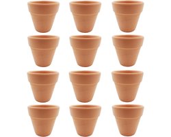ByShane - Terracotta Klei Potten Met Drainage Gat voor Sappige Cactus - Set van 12 - Voor DIY Ambachtelijke Projecten en Planten - Bruiloft Gunst - 65 x 6cm