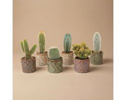 Cactus Set van 6 in Keramische Mini Potjes Madrid - ↑ 8–12 cm