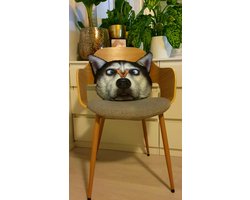 Cadeau Knuffel sierkussen Hond. Grappige knuffel kussen Hond. Cadeau Voor Kind Of Volwassen. Leuke Kussen Hond.