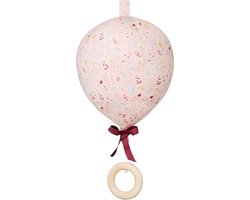 CamCam Mobiel, ballon