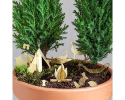 Camping Kamerplant - Tiny Camping - DIY pakket Goudkleurig Messing - Cadeau Plantenliefhebber
