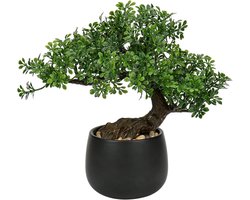 Candala 25 cm kunstplant bonsai boom in keramische pot kunstplanten esthetische Japanse bonsai decoratie voor woonkamer slaapkamer badkamer vensterbank decoratie - podocarpus kunstbonsai