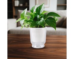 Candala bewaterende potten 8 – 12 klein rond bloempotten zelfbewaterend kruidenpot – duurzaam