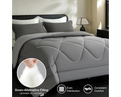 Candala Winter Dekbed 240x220 Dekbed voor alle seizoenen Omkeerbaar dekbed Oeko-TEX-gecertificeerd 4 seizoenen dekbedden Duvet 240x220cm Zacht microvezel slaapdeken met kussenslopen grijs