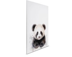 Canvas Baby Panda | DD132995