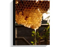 Canvas  - Bijenkorf met Honing - 30x40cm Foto op Canvas Schilderij (Wanddecoratie op Canvas)