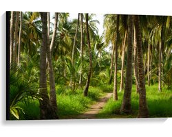 Canvas - Bospad in Bos van Hoge Palmbomen met Groen Gras - 90x60 cm Foto op Canvas Schilderij (Wanddecoratie op Canvas)