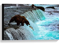 Canvas - Bruine Beer Happend naar Vis bij een Rivier met Waterval - 60x40 cm Foto op Canvas Schilderij (Wanddecoratie op Canvas)
