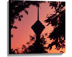 Canvas - Euromast - Bomen - Bladeren - Kleuren - 60x60 cm Foto op Canvas Schilderij (Wanddecoratie op Canvas)