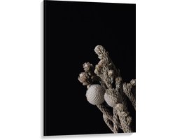 Canvas - Katoenen Plant tegen Zwarte Achtergrond - 80x120 cm Foto op Canvas Schilderij (Wanddecoratie op Canvas)