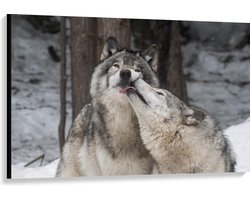 Canvas  - Knuffelende Wolven in Sneeuw - 120x80cm Foto op Canvas Schilderij (Wanddecoratie op Canvas)
