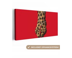 Canvas schilderij 100x50 cm - Exclusieve wanddecoratie Poot - Luipaard - Ketting - Edelstenen - Muurdecoratie woonkamer - Slaapkamer decoratie - Kamer accessoires - Schilderijen op canvas