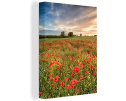 Canvas schilderij 120x160 cm - Wanddecoratie Klaprozen - Wolken - Gras - Muurdecoratie woonkamer - Slaapkamer decoratie - Kamer accessoires - Schilderijen