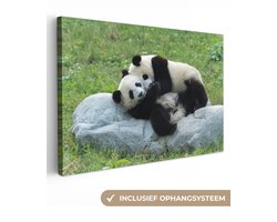 Canvas schilderij 140x90 cm - Wanddecoratie Pandas - Gras - Steen - Muurdecoratie woonkamer - Slaapkamer decoratie - Kamer accessoires - Schilderijen op canvas