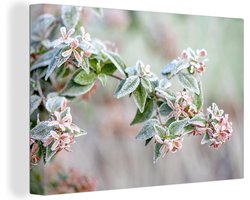 Canvas schilderij 140x90 cm - Wanddecoratie Planten - Bevroren - Winter - Muurdecoratie woonkamer - Slaapkamer decoratie - Kamer accessoires - Schilderijen