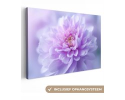 Canvas schilderij 150x100 cm - Exclusieve wanddecoratie Paars - Dahlia - Dromerig - Muurdecoratie woonkamer - Slaapkamer decoratie - Kamer accessoires - Schilderijen op canvas